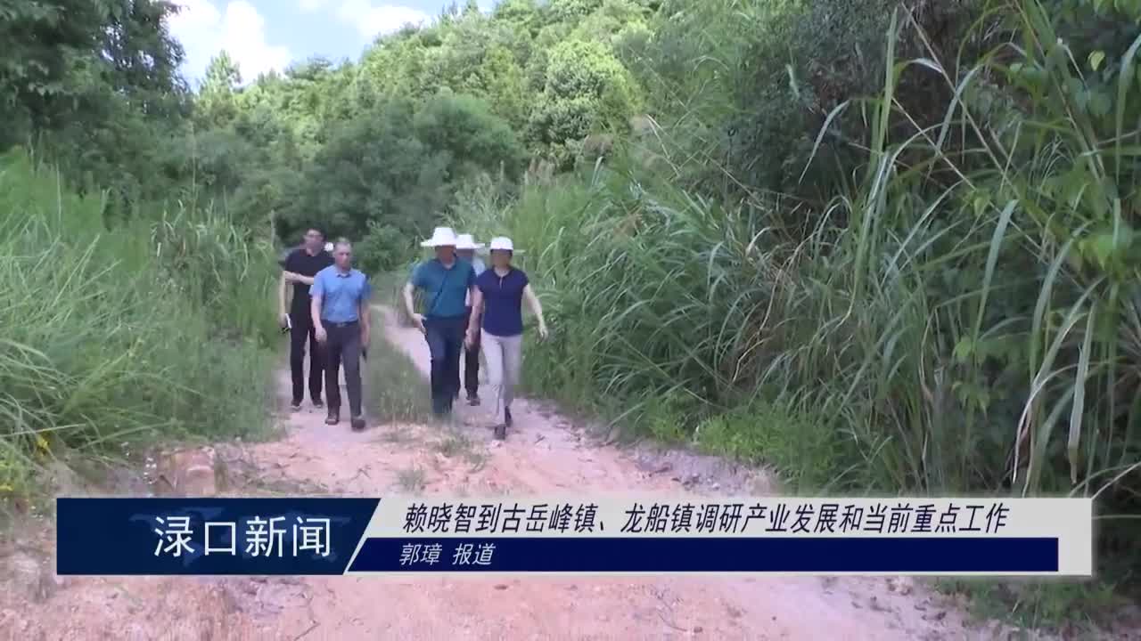 赖晓智到古岳峰镇龙船镇调研产业发展和当前重点工作