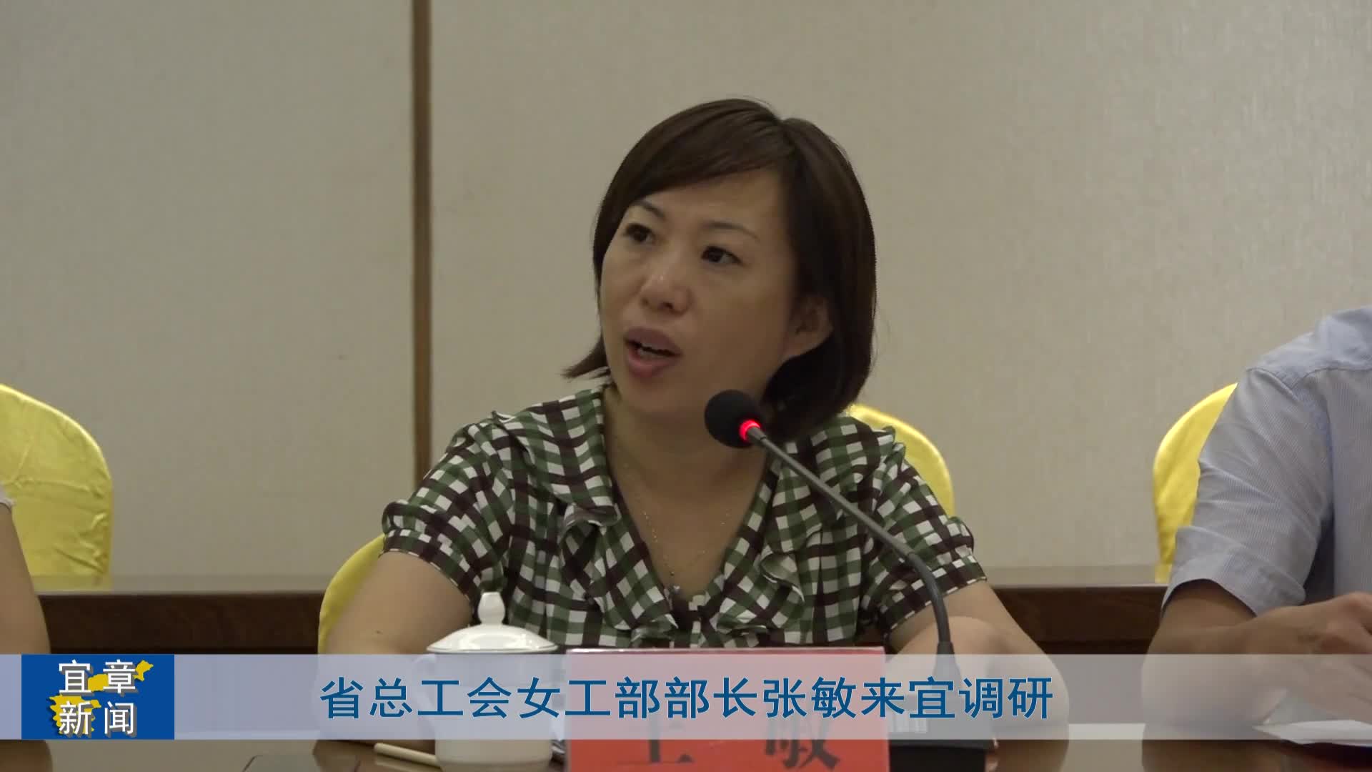 省总工会女工部部长张敏来宜调研