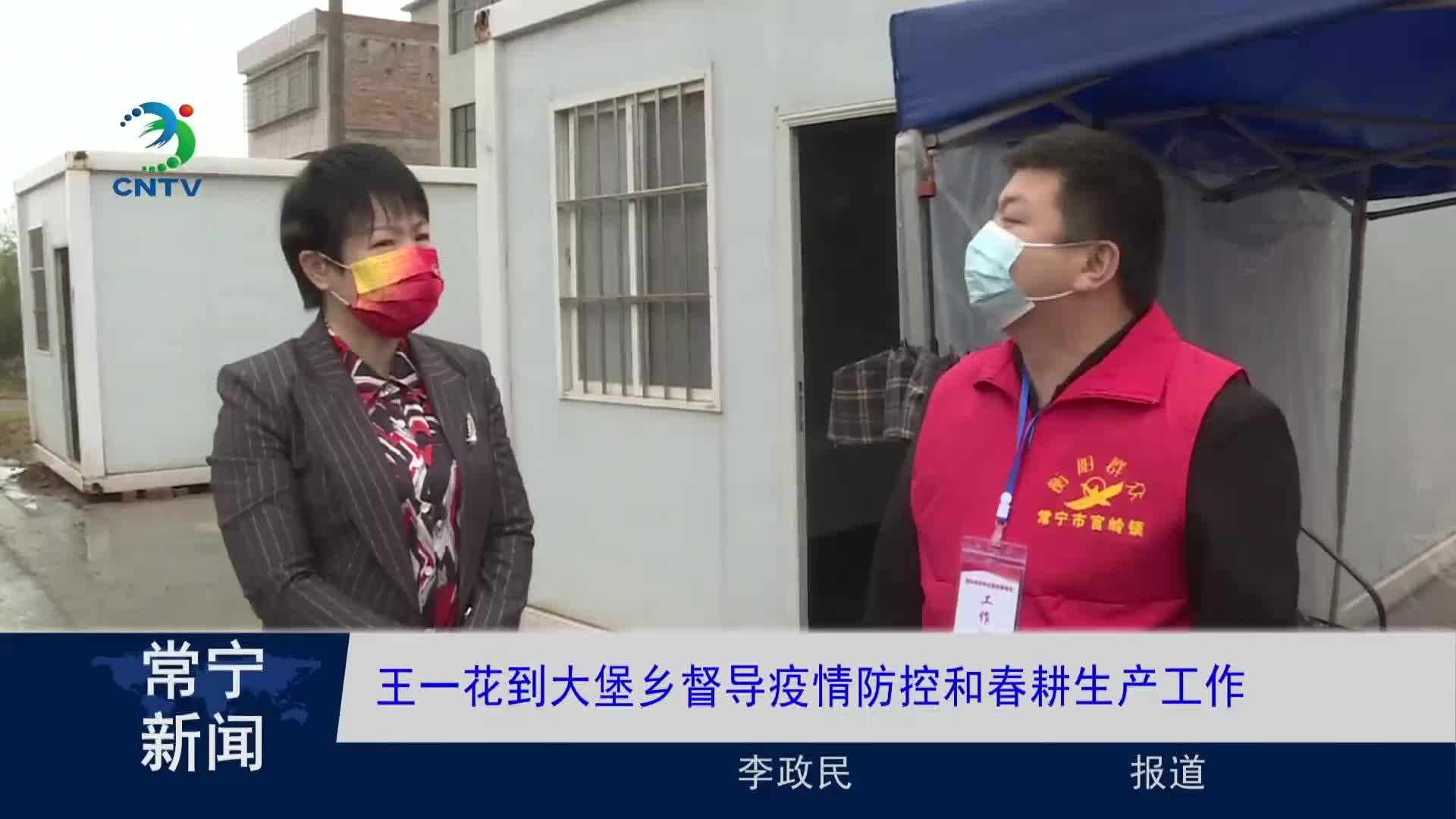 视频王一花到大堡乡督导疫情防控和春耕生产工作