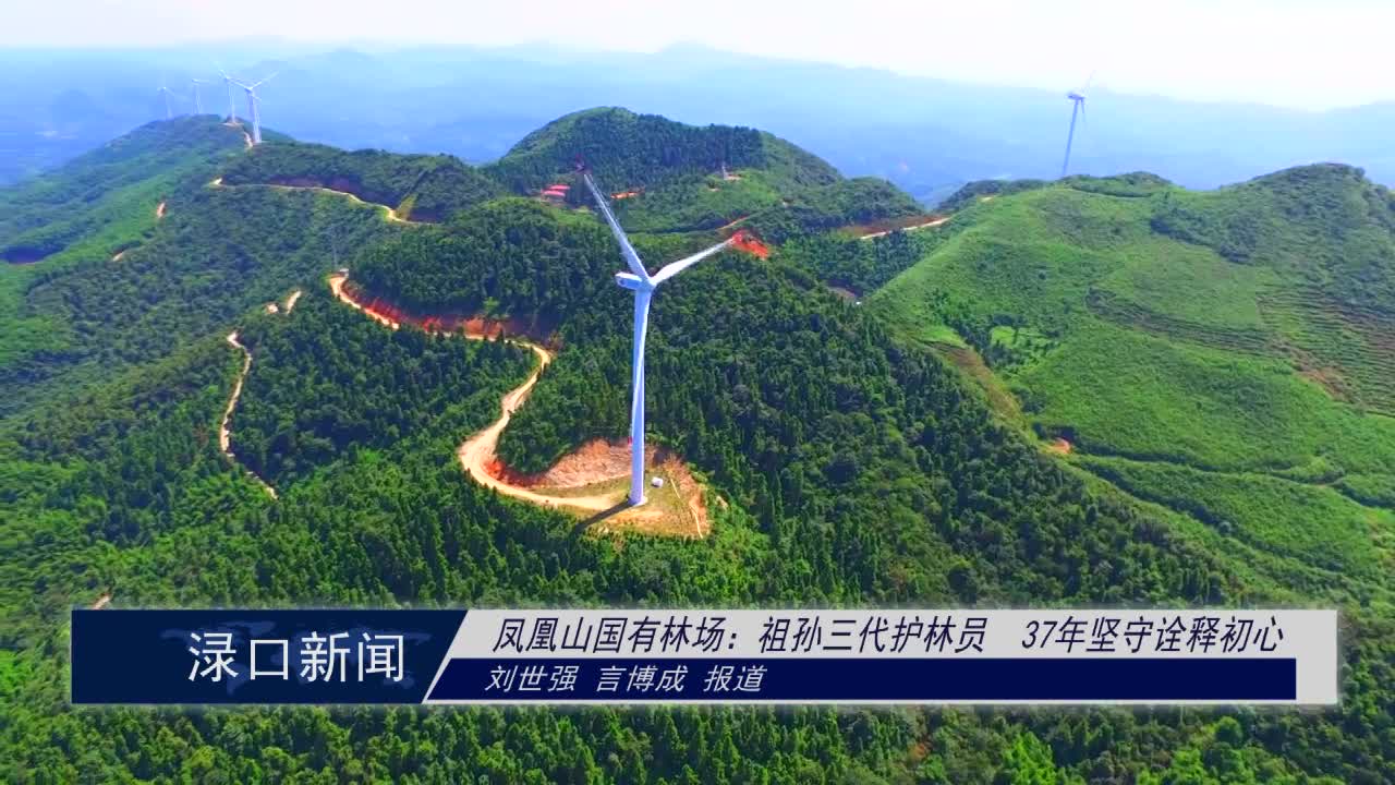 凤凰山国有林场:祖孙三代护林员 37年坚守诠释初心
