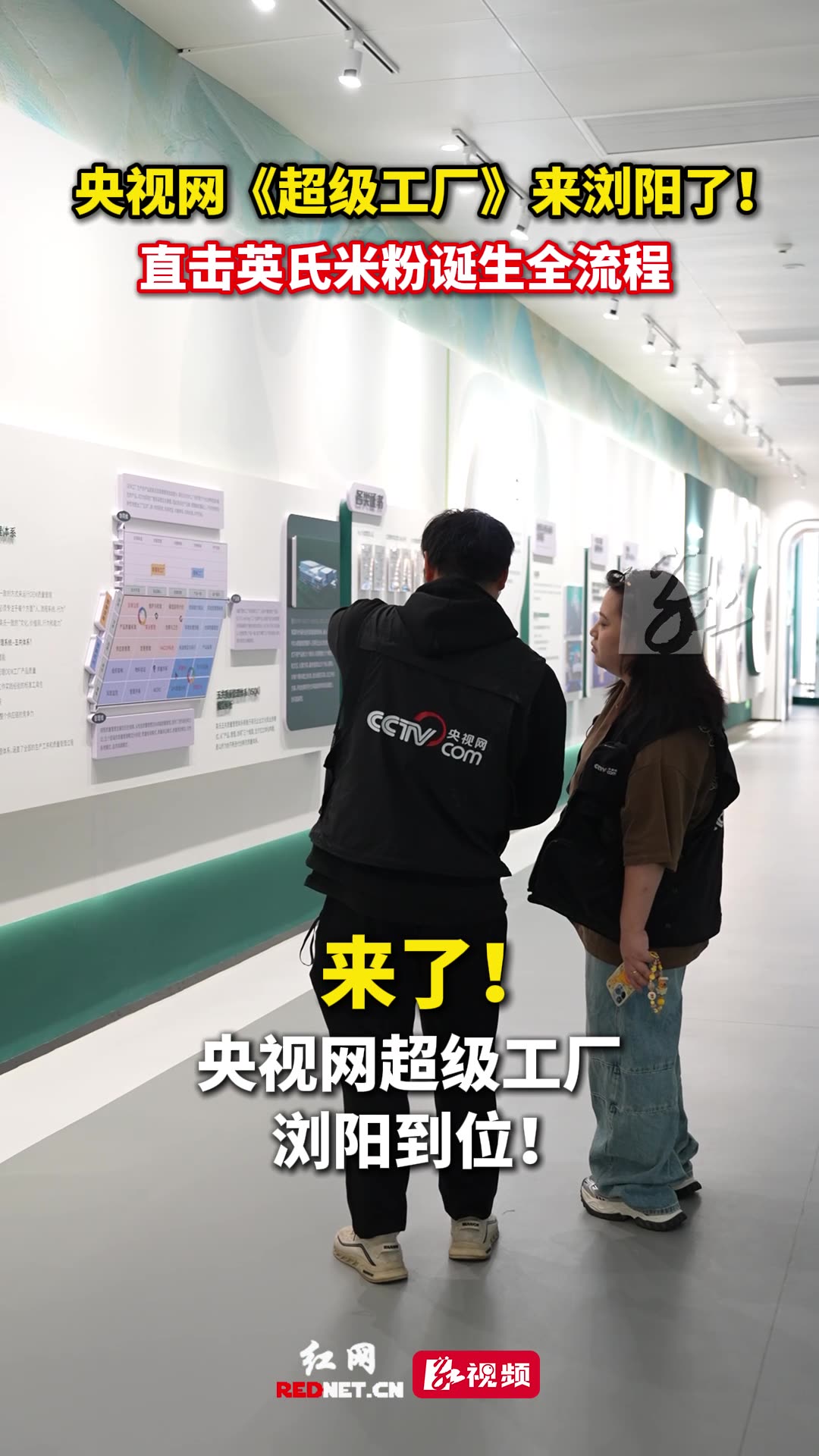 直击英氏米粉诞生全流程