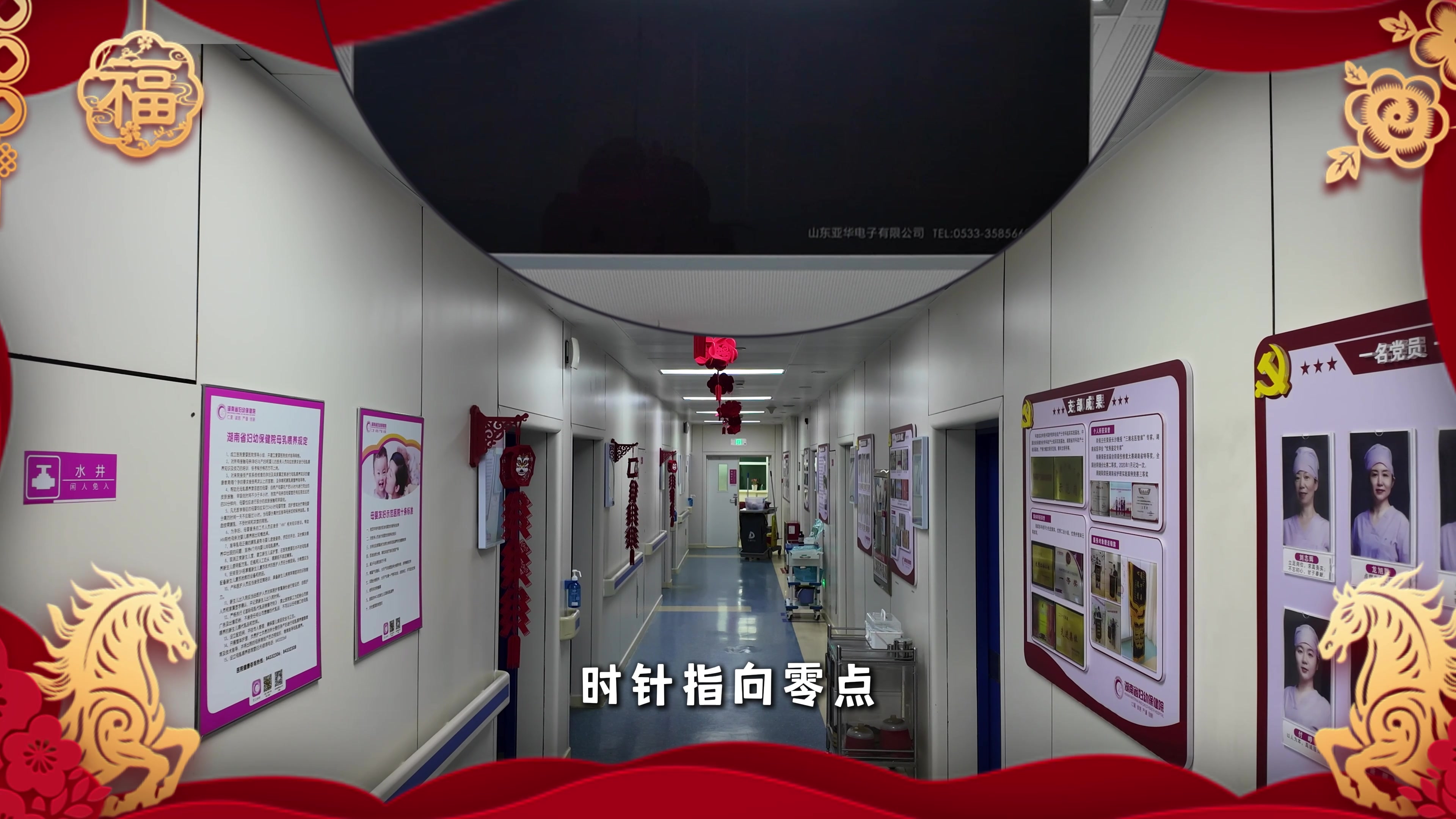 首批“马宝宝”踏春而来