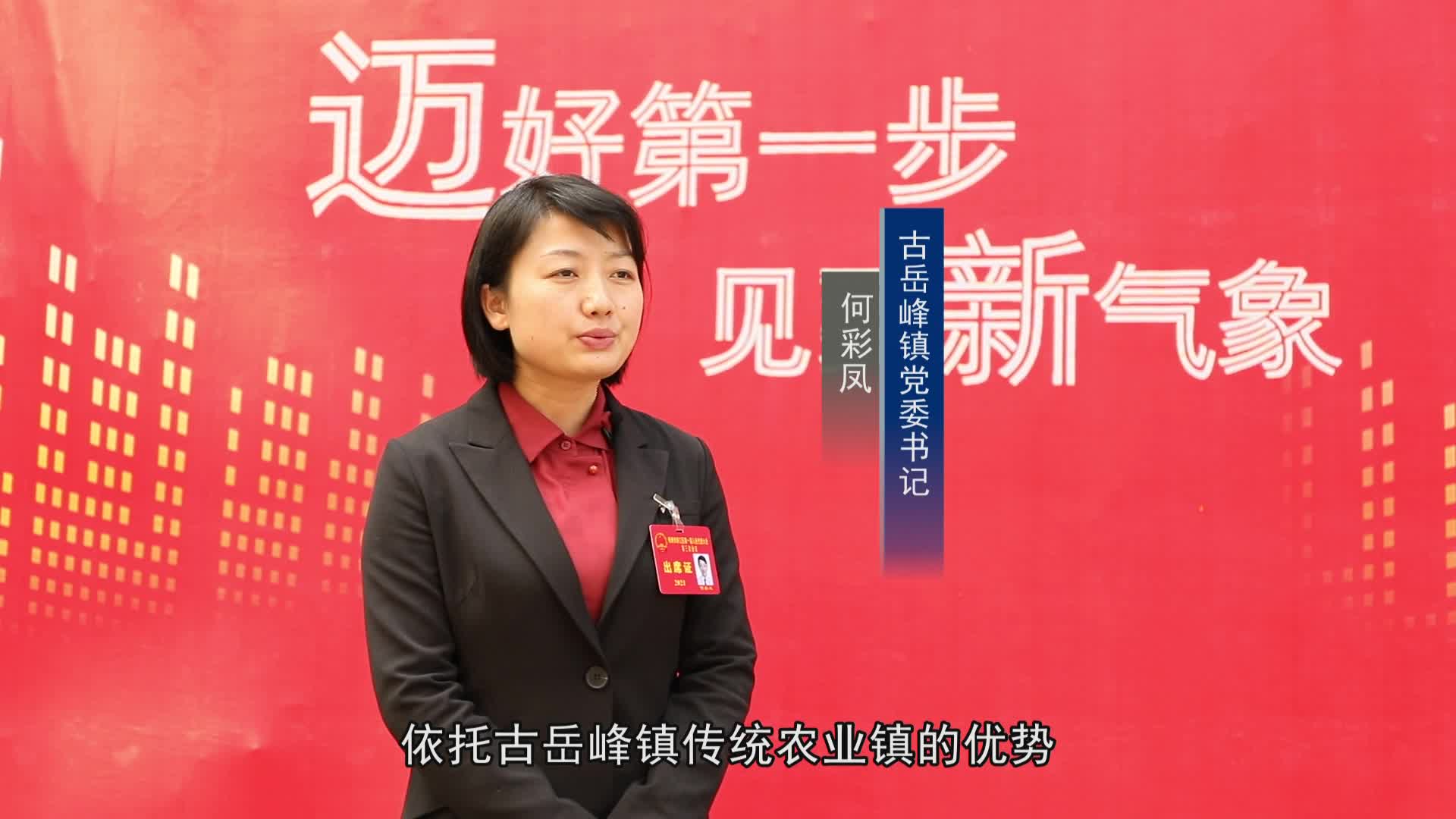 【迈好第一步 见到新气象】明目标 理思路,听听各镇负责人怎么说?