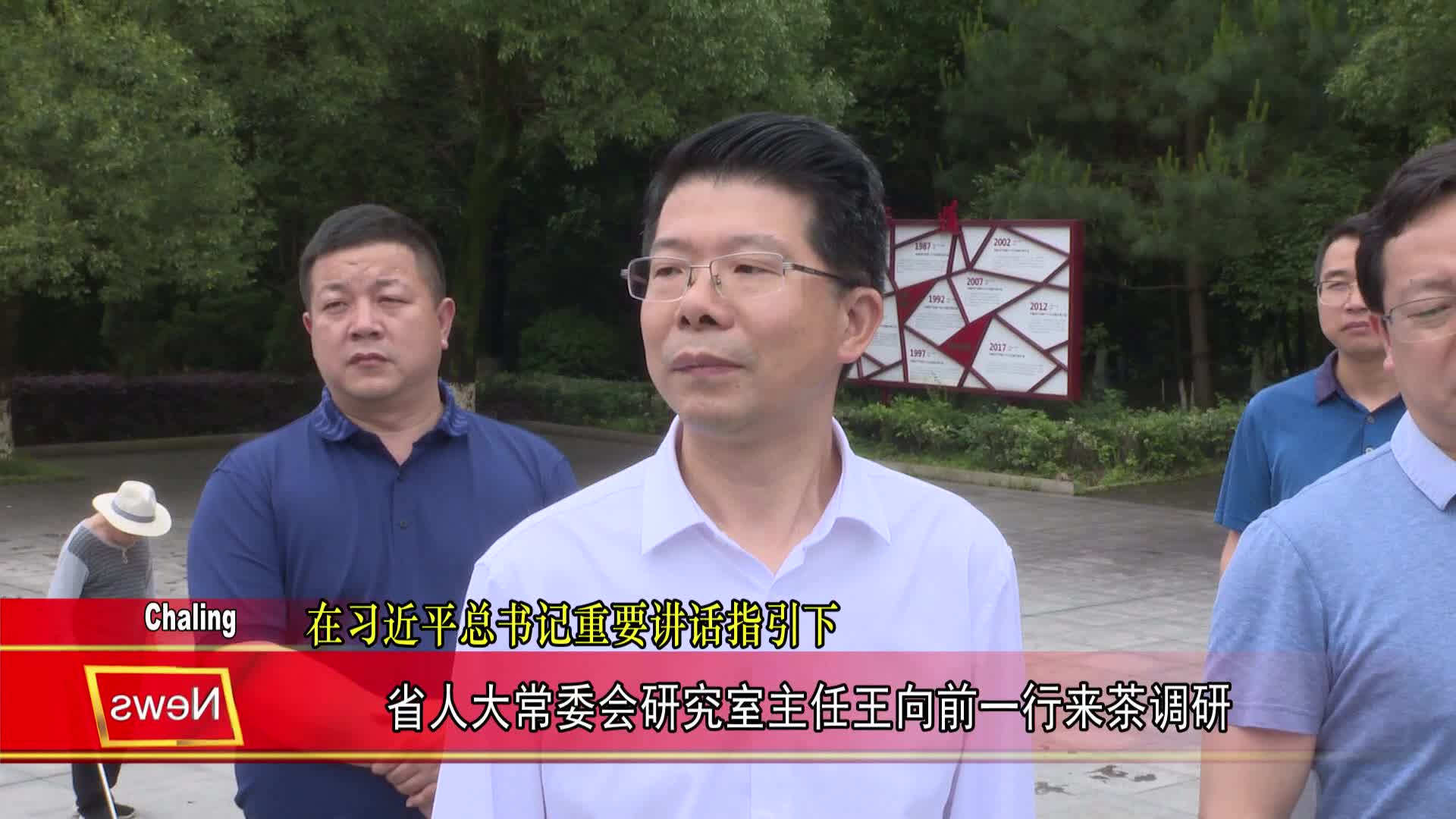 省人大常委会研究室主任王向前一行来茶调研