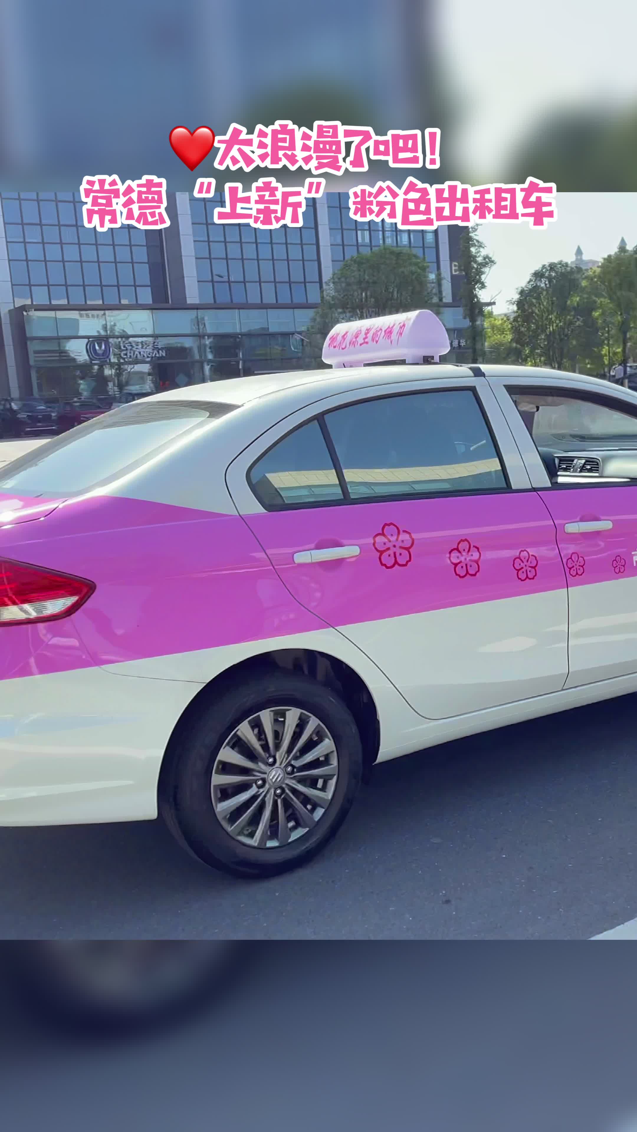 视频丨常德上新粉色出租车 网友:打个车都是爱你的颜色