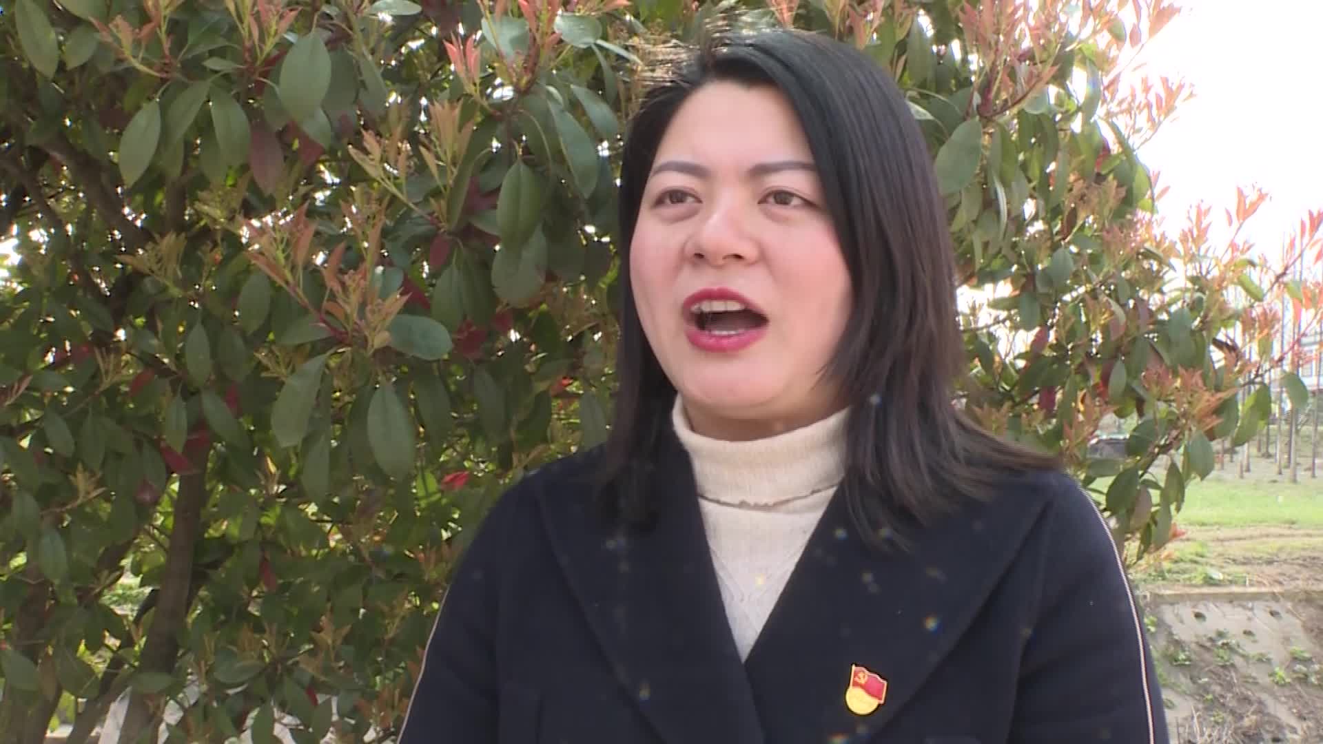 "新春第一课"他们集中充电蓄能__华容县站