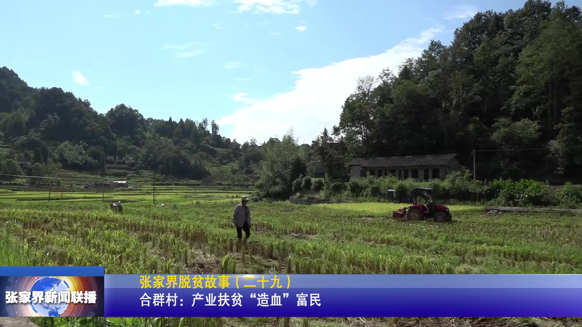 张家界脱贫故事桑植县合群村产业扶贫造血富民