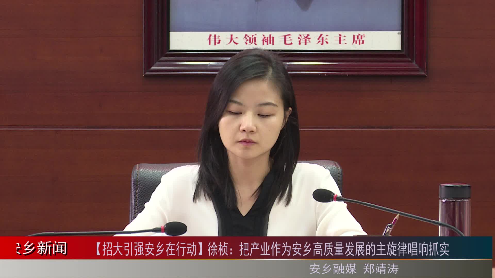 招大引强安乡在行动徐桢把产业作为安乡高质量发展的主旋律唱响抓实