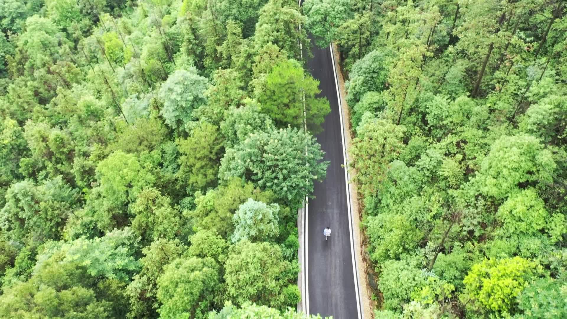短视频绿色让生活更美好